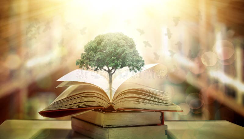 The Concept Of Education By Planting A Tree Of Knowledge In The Opening Of  An Old Book In The Library And The Magical Magic Of Light That Flies To The  Destination Of