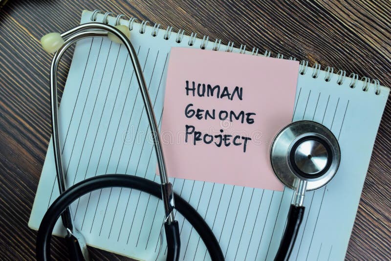 Concept of Human Genome Project write on sticky notes isolated on Wooden Table. Gene sequence stock images, royalty-free photos and pictures