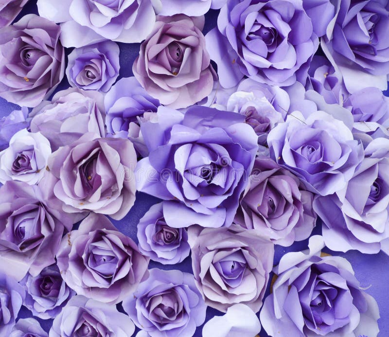 Purple Rose Paper Art Texture Artbackground Stock Image - Image of ...