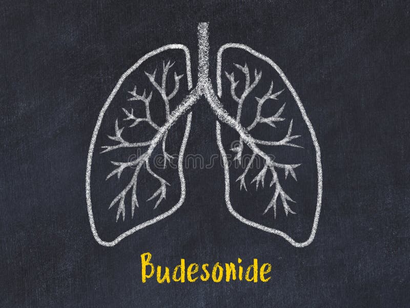 Concept of learning medicine. Chalk drawing of lungs with inscription Budesonide. Concept of learning medicine. Chalk drawing of lungs with inscription Budesonide