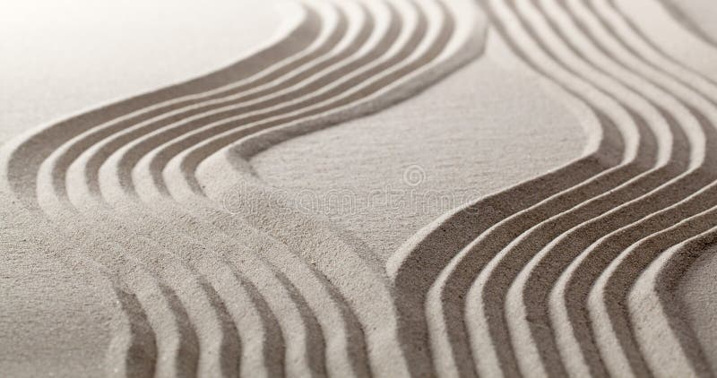 Concept of life progression evolution with zen att royalty free stock image Concept of life progression evolution with zen att royalty free stock image