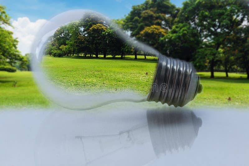 Concept , light bulb with a green grass and tree