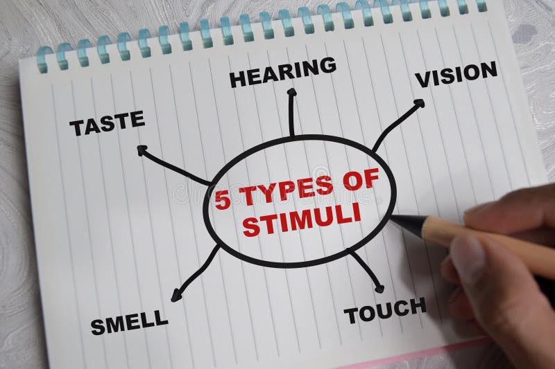 Concept of mind map 5 types of stimuli write on book with keywords isolated on Wooden Table. Design mind map stock images, royalty-free photos and pictures