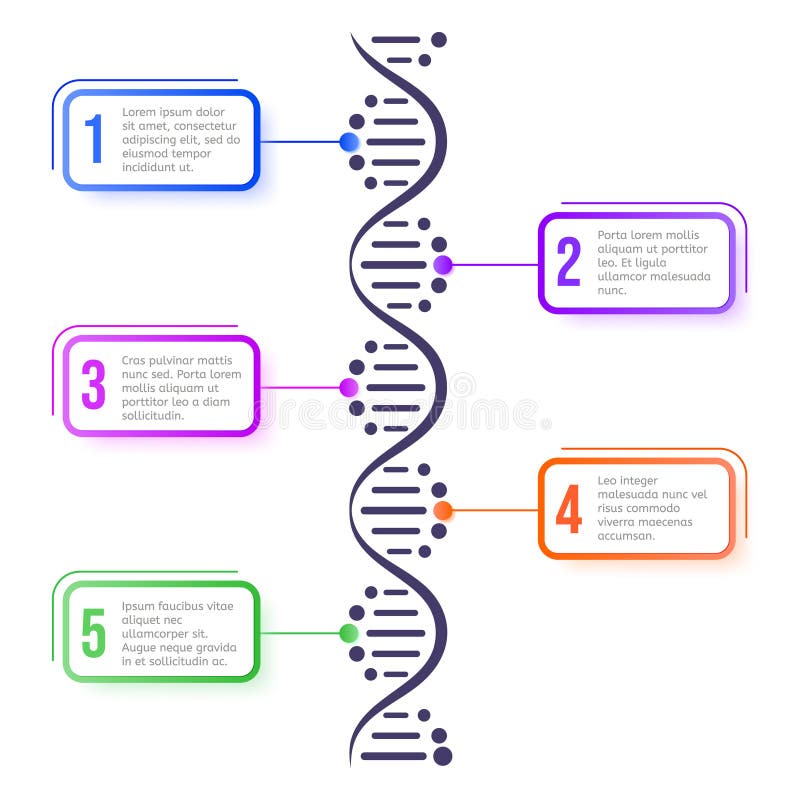 Concept moleculă de ADN. moleculă de diagrame abstracte helix structură spirală schemă științifică biologie cromozomială genetică vector illustration
