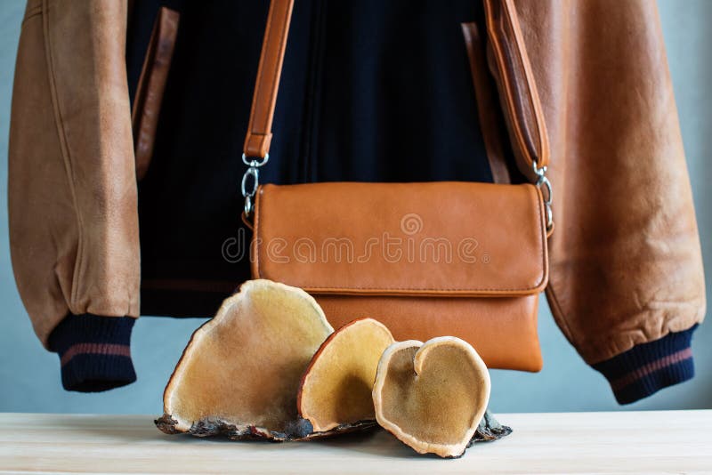 Concept of Mushroom leather - woman handbag and brown tree mushrooms.  Sustainable textile made from mushrooms mycelium, zero waste lifestyle, eco  vegan skin, bio based alternative to leather Stock Photo