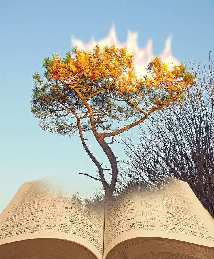 De incendio un árbol conversaciones sobre el Moisés La biblia historia profecía etcétera.