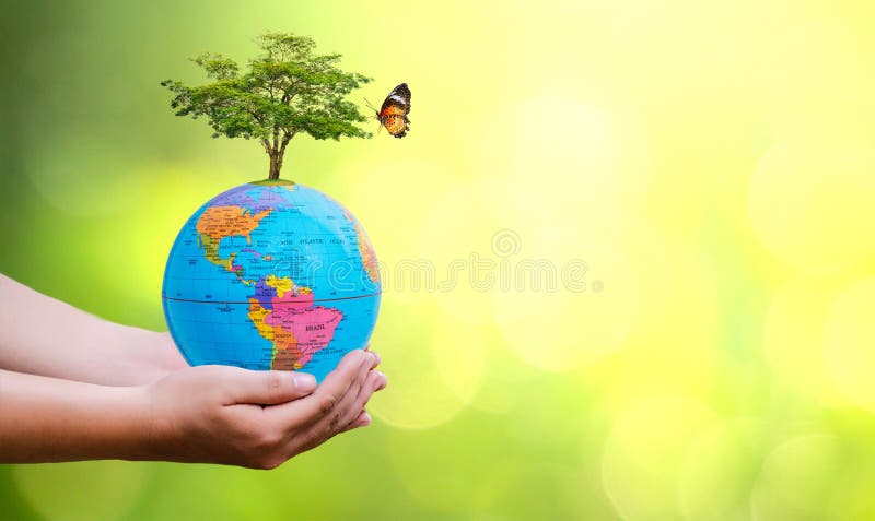 Concept Save The World Save Environment The World Is In The Grass Of The Green Bokeh Background