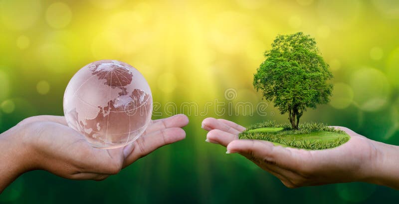 Concept Save the world save environment The world is in the hands of the green bokeh background In the hands of trees growing seed