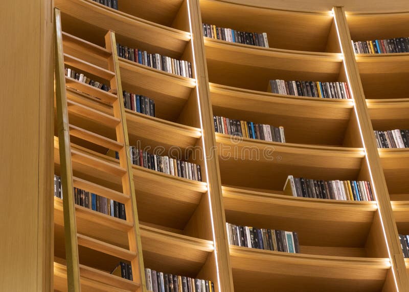 Concept shot of the shelves in the library. Education royalty free stock images