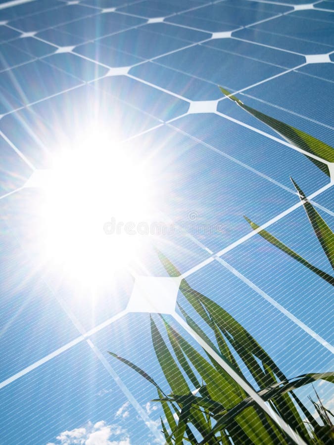 Green wheat field against the sun with photovoltaic panel. Green wheat field against the sun with photovoltaic panel