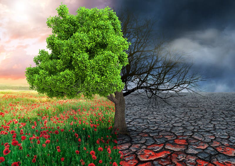 Concept écologique avec l'arbre et le paysage changeant de climat