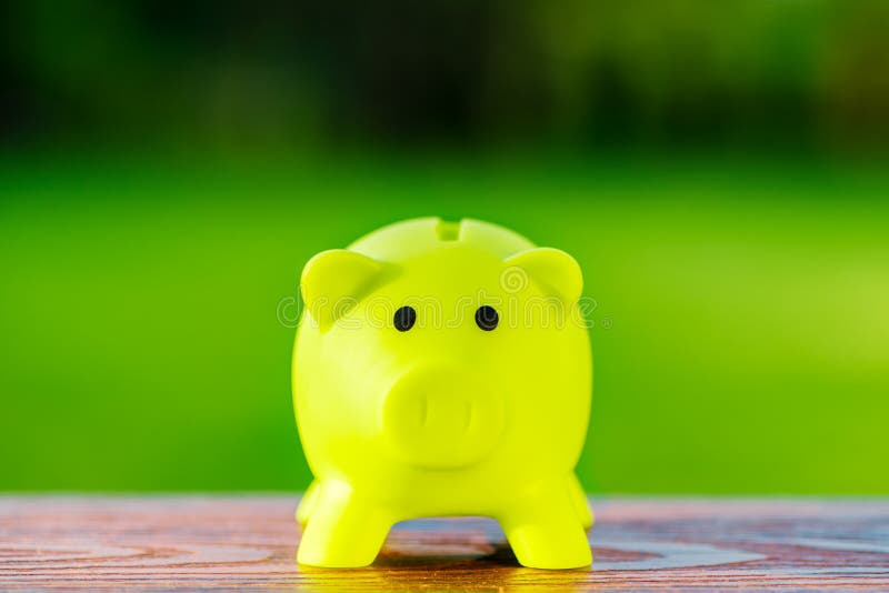 Concept écologique vert de tirelire pour s'enregistrer, rendant compte, banque photographie stock libre de droits