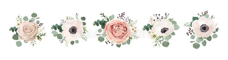 Conception de bouquet floral de vecteur : lavande de pêche de rose de jardin crémeuse