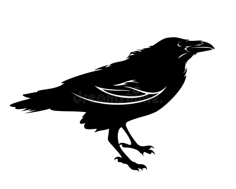 Conception de vecteur de noir d'oiseau de Raven illustration stock Conception de vecteur de noir d'oiseau de Raven illustration stock