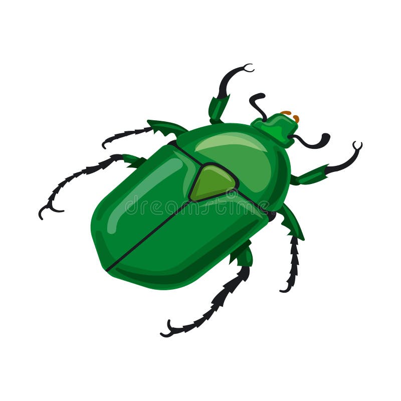 Conception de vecteur de scarabée et de signe vert Placez du symbole boursier de scarabée et de fumier pour le Web illustration libre de droits Conception de vecteur de scarabée et de signe vert Placez du symbole boursier de scarabée et de fumier pour le Web illustration libre de droits