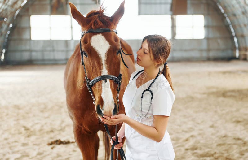 Conception of Veterinary. Female Doctor in White Coat is with Horse on
