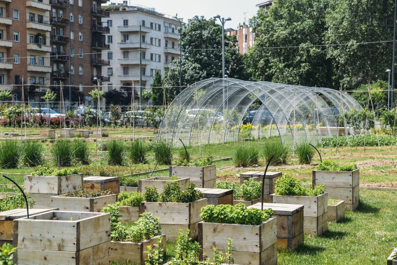 Concepto agrícola urbano de la continuidad, capturado en Milán, Lombardía, Italia