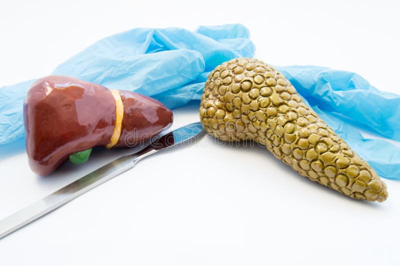 Concepto de cirugía reconstructiva, de dieta y de nutrición hepatobiliary El escalpelo y los guantes médicos acercan a modelos de fotos de archivo libres de regalías Concepto de cirugía reconstructiva, de dieta y de nutrición hepatobiliary El escalpelo y los guantes médicos acercan a modelos de fotos de archivo libres de regalías