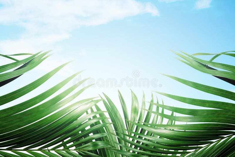 Concepto del Domingo de Ramos imagen de archivo libre de regalías