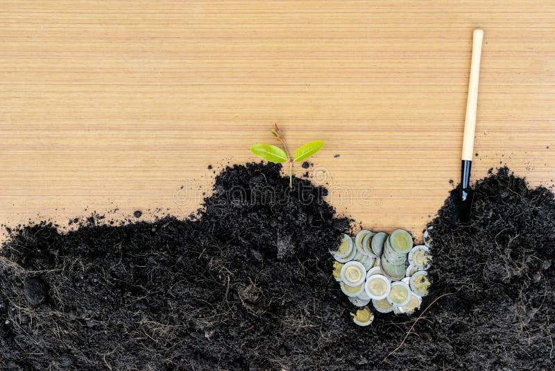 Concepto de finanzas, inversión, crecimiento del negocio por los árboles de la fertilización en monedas fotografía de archivo Concepto de finanzas, inversión, crecimiento del negocio por los árboles de la fertilización en monedas fotografía de archivo