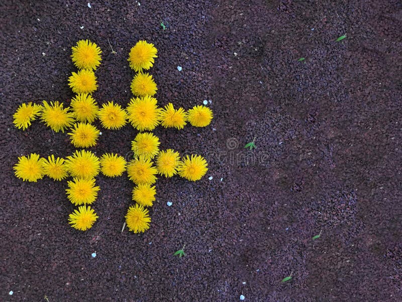 Concepto de la estrategia de la página web del blog de la web del poste de Hashtag que bloguea de la red de la etiqueta viral de foto de archivo libre de regalías Concepto de la estrategia de la página web del blog de la web del poste de Hashtag que bloguea de la red de la etiqueta viral de foto de archivo libre de regalías