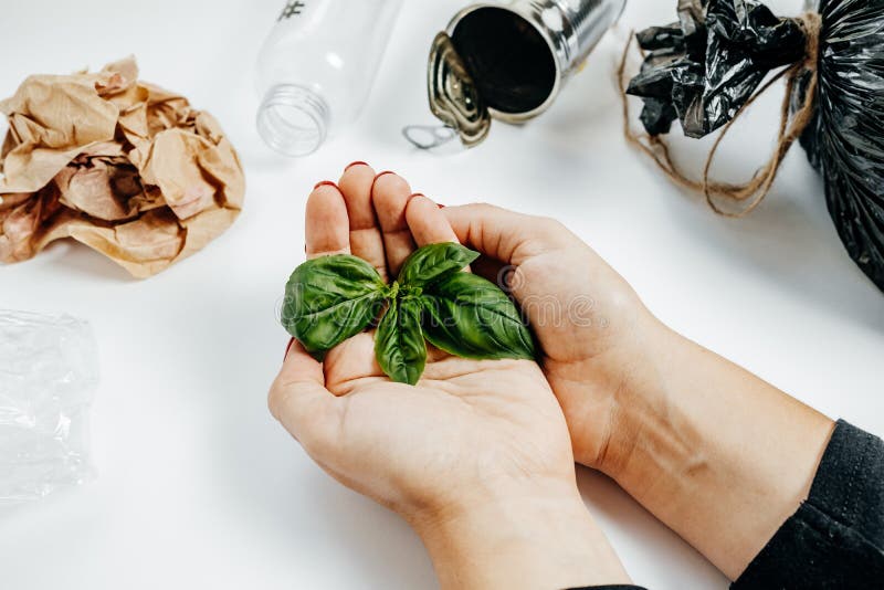 Concepto de la gestión de desechos Manos de la mujer con la hoja y el garbag verdes imagen de archivo libre de regalías Concepto de la gestión de desechos Manos de la mujer con la hoja y el garbag verdes imagen de archivo libre de regalías