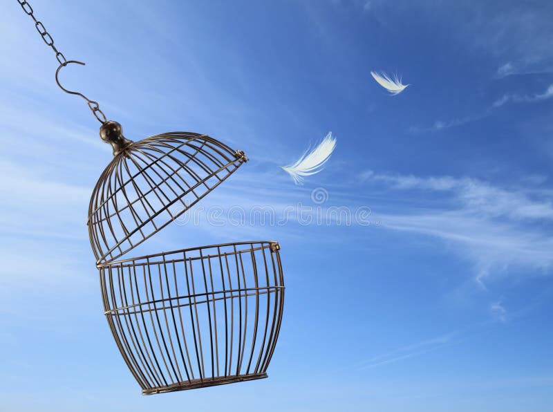 Freedom concept. Escaping from the cage. Freedom concept. Escaping from the cage