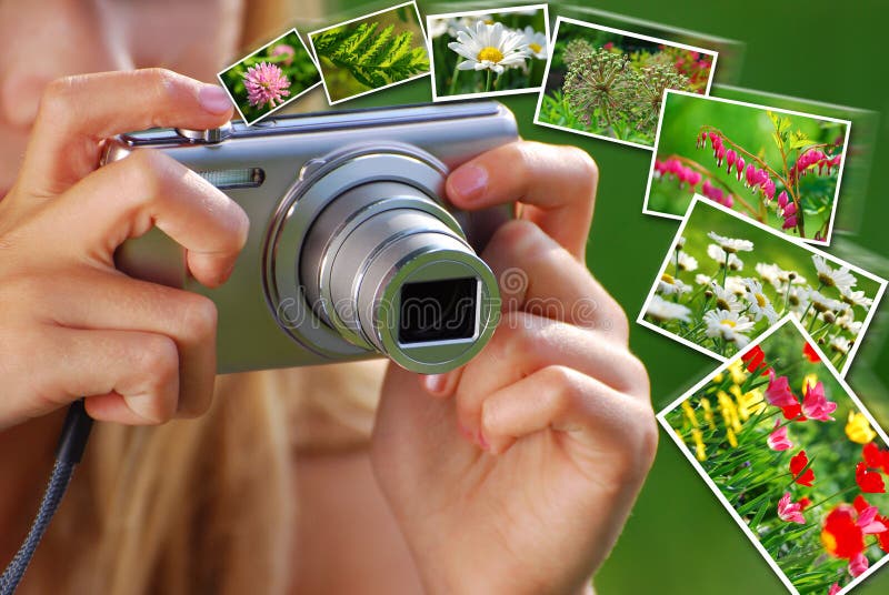 Concepto de tomar las fotos de la naturaleza por la cámara digital imagenes de archivo Concepto de tomar las fotos de la naturaleza por la cámara digital imagenes de archivo