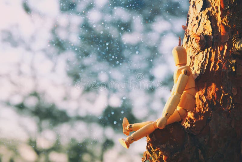 concepto de visión y de diverso pensamiento situación simulada de madera encima del pico del árbol que mira adelante foto de archivo libre de regalías concepto de visión y de diverso pensamiento situación simulada de madera encima del pico del árbol que mira adelante foto de archivo libre de regalías
