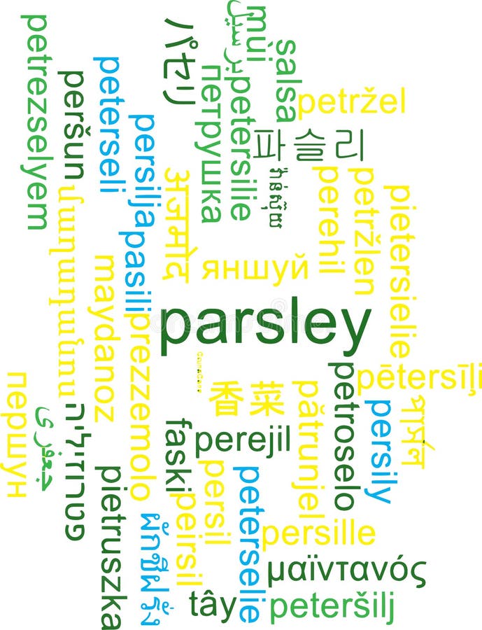 Concepto multilingue del fondo del wordcloud del perejil libre illustration Concepto multilingue del fondo del wordcloud del perejil libre illustration