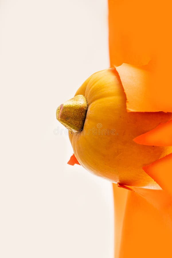 Concepto mínimo de vida vegetal. rotura de squash orgánico fresco a través de un fondo naranja. espacio de copia creativa vertical imagenes de archivo