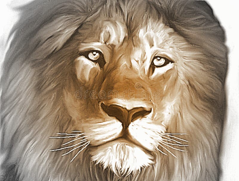 Lion King Stock Illustrations 12 964 Lion King Stock