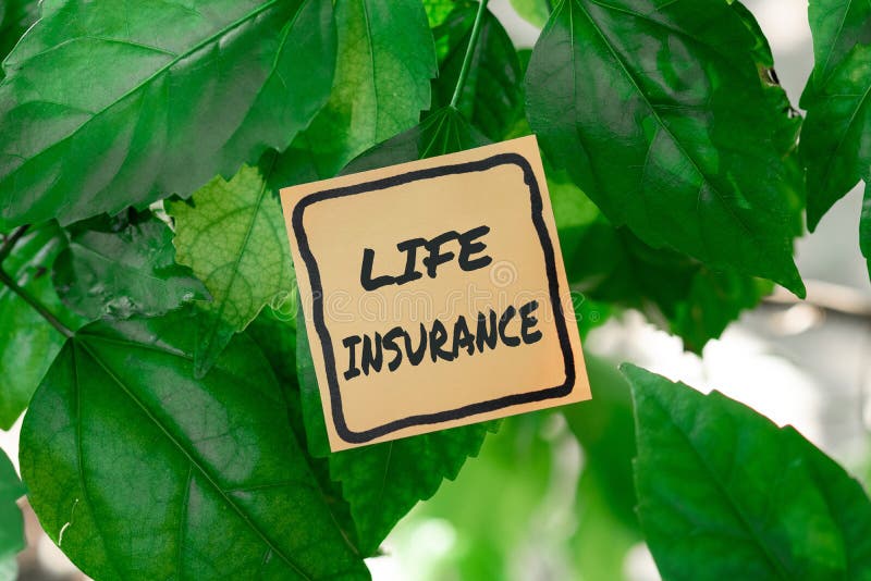 sign-displaying-life-insurance-internet-concept-payment-of-death