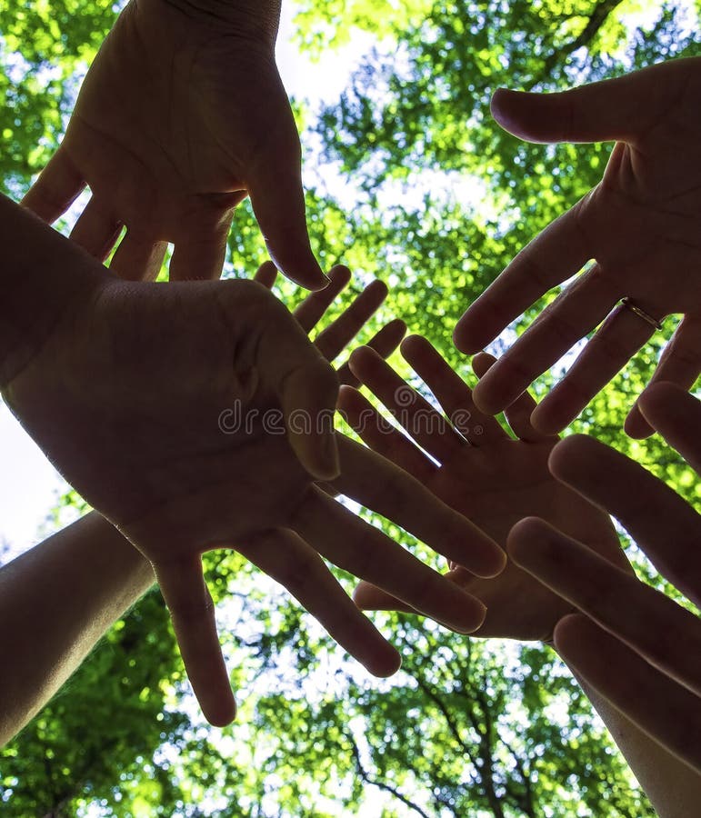 Hands Together Stock Image Image Of Healthy Conservation 180524069