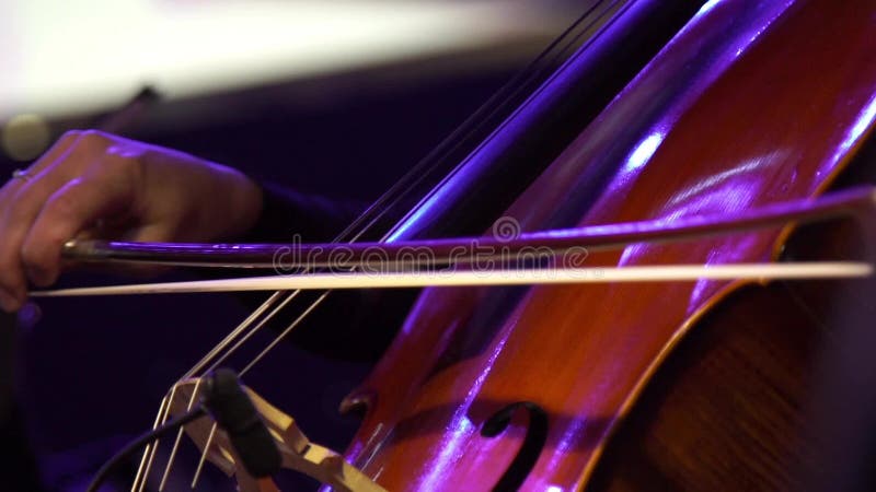 Concert, a woman musician hand pinching the strings cello, hand close up. stock video