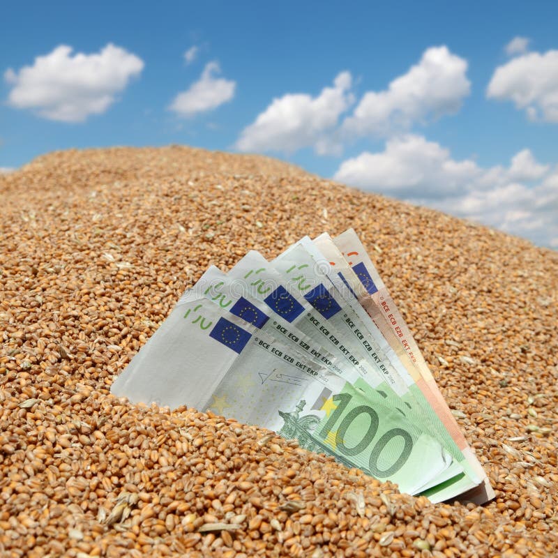 Concetto agricolo della banconota dell'euro e del grano fotografie stock libere da diritti Concetto agricolo della banconota dell'euro e del grano fotografie stock libere da diritti