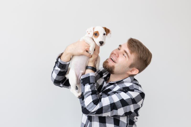 Concetto dell'animale domestico e della gente - fine sul ritratto del cucciolo del terrier di russell della presa che si siede su immagine stock Concetto dell'animale domestico e della gente - fine sul ritratto del cucciolo del terrier di russell della presa che si siede su immagine stock