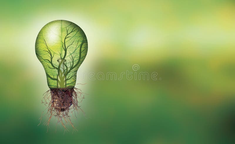 Concetto dell'energia rinnovabile dell'insegna - lampadina di Eco con la foglia e rami interni e radici immagine stock Concetto dell'energia rinnovabile dell'insegna - lampadina di Eco con la foglia e rami interni e radici immagine stock