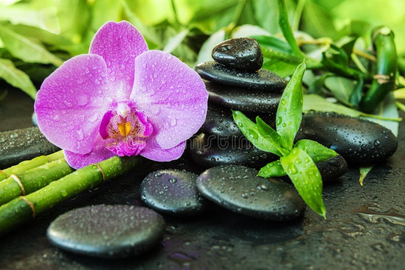 Concetto della stazione termale con le pietre di zen, il fiore dell'orchidea ed il bamb? fotografie stock Concetto della stazione termale con le pietre di zen, il fiore dell'orchidea ed il bamb? fotografie stock