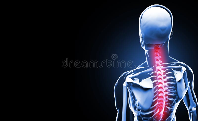 Concetto di anatomia della spina dorsale royalty illustrazione gratis Concetto di anatomia della spina dorsale royalty illustrazione gratis