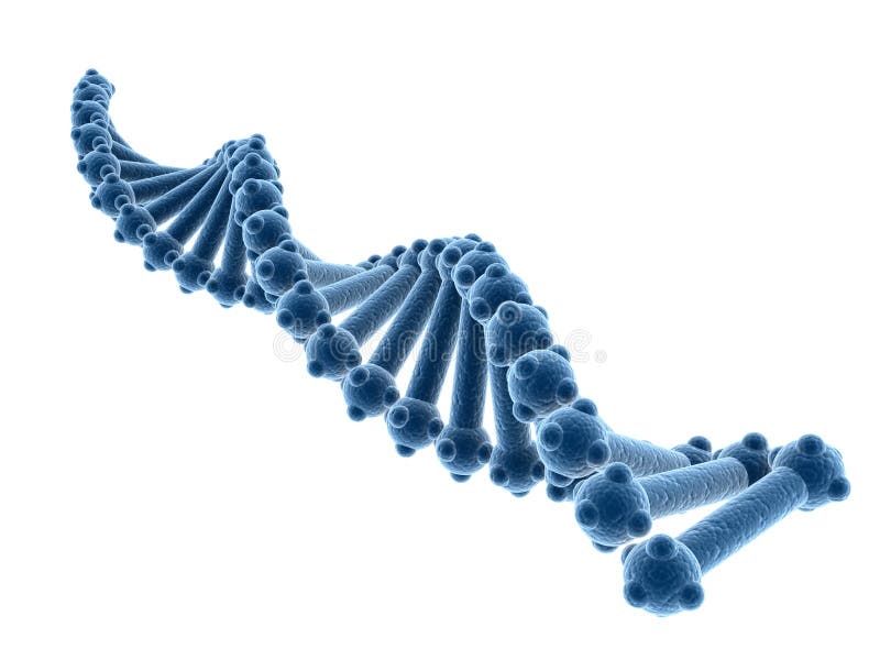 Concetto di biochimica con la molecola del DNA isolata nel fondo bianco, rappresentazione 3d illustrazione di stock Concetto di biochimica con la molecola del DNA isolata nel fondo bianco, rappresentazione 3d illustrazione di stock