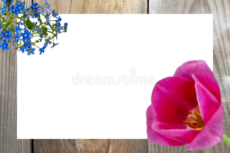 Concetto Di Carta Per La Primavera Sfondo Di Legno Naturale, Foglio Bianco  Di Carta Con Fiori Di Primavera Fotografia Stock - Immagine di creativo,  pasqua: 165157284