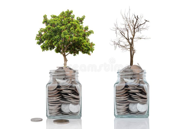 Concetto di crescita di soldi profitti e perdite dall'investimento su bianco immagine stock libera da diritti Concetto di crescita di soldi profitti e perdite dall'investimento su bianco immagine stock libera da diritti