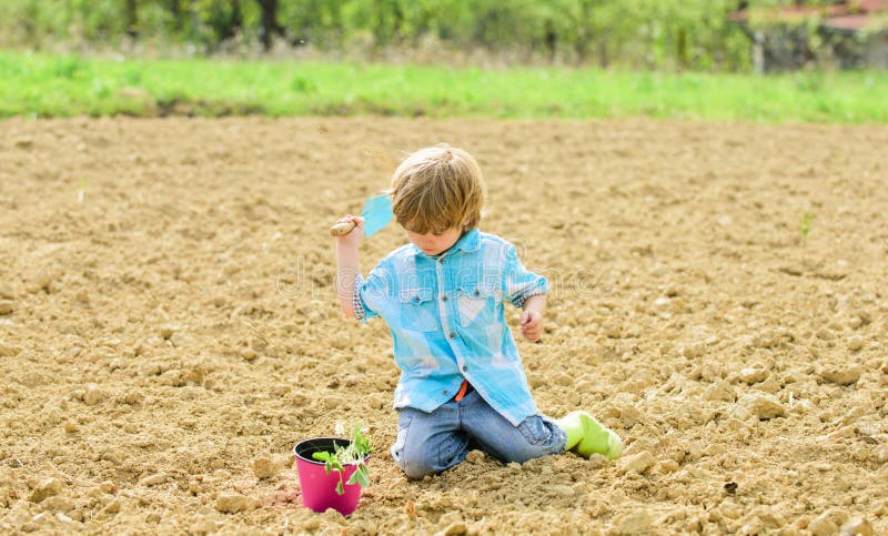 Concetto di giardinaggio Bambino divertendosi con poche pala e pianta in vaso Piantando nel campo Piantatura dei semenzali poco fotografia stock Concetto di giardinaggio Bambino divertendosi con poche pala e pianta in vaso Piantando nel campo Piantatura dei semenzali poco fotografia stock