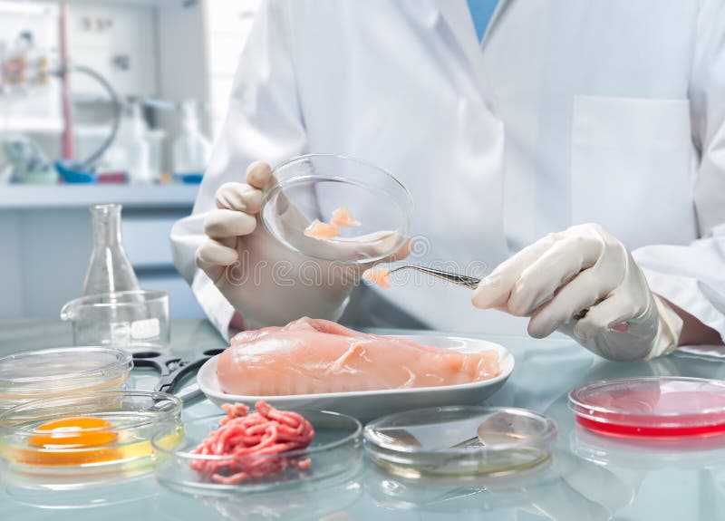 Quality control expert inspecting at food specimen in the laboratory. Quality control expert inspecting at food specimen in the laboratory