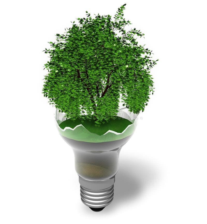 Concetto ecologico: albero verde in una lampada rotta