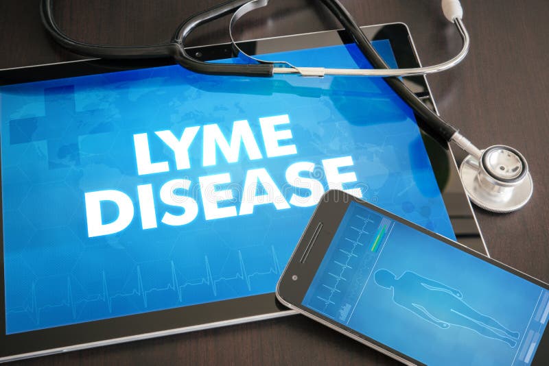 Concetto medico di diagnosi della malattia di Lyme (malattia infettiva)