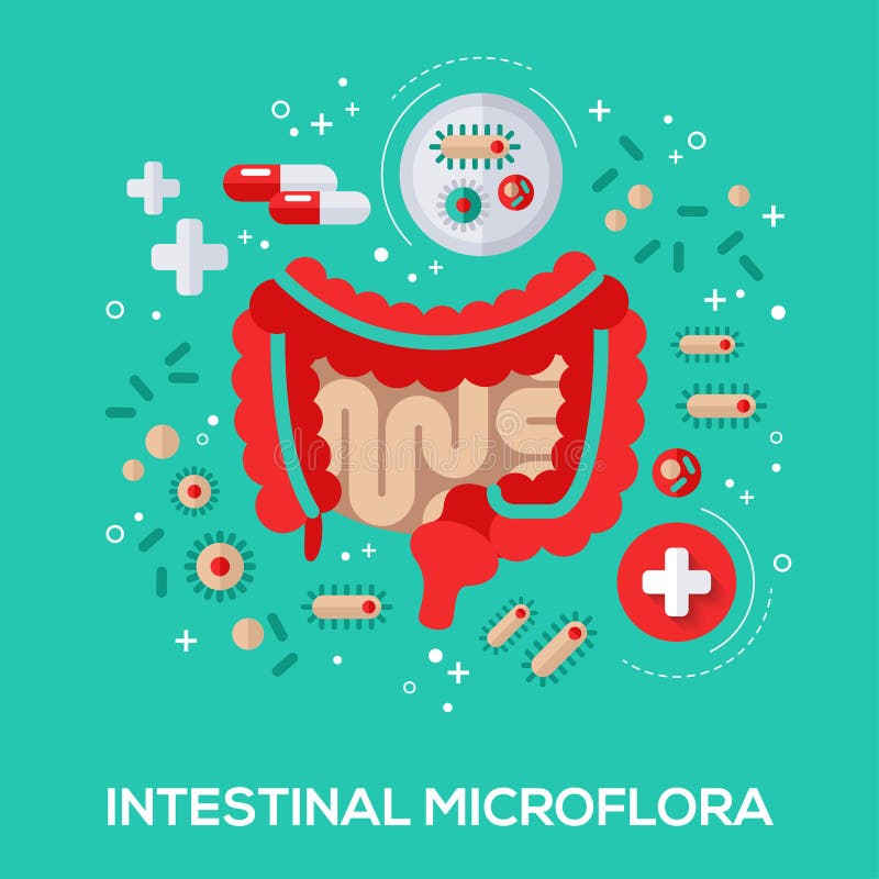 Concetto piano delle icone della microflora intestinale royalty illustrazione gratis Concetto piano delle icone della microflora intestinale royalty illustrazione gratis