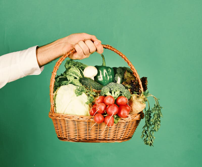 Vegetarian nutrition concept. Farmer holds cabbage, radish, pepper, broccoli, carrot, mushroom and lettuce. Male hand holds veggies on green background. Wicker basket with fresh vegetables. Vegetarian nutrition concept. Farmer holds cabbage, radish, pepper, broccoli, carrot, mushroom and lettuce. Male hand holds veggies on green background. Wicker basket with fresh vegetables.