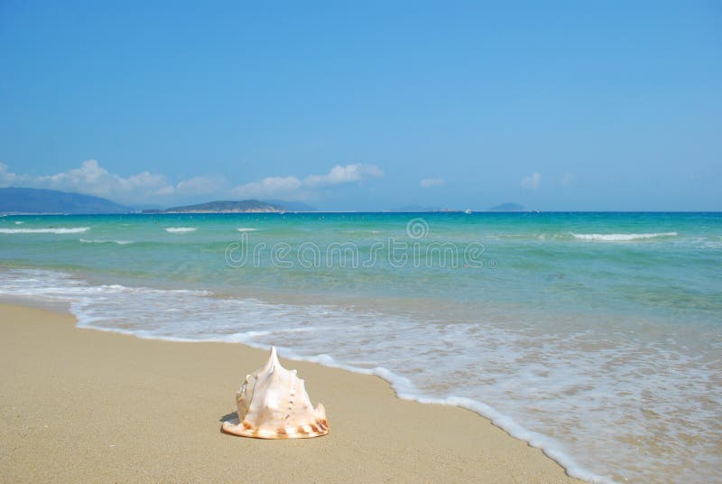 Conch